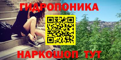 ПСИЛОЦИБИНОВЫЕ ГРИБЫ Балахна